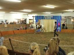 IMG_5258_web